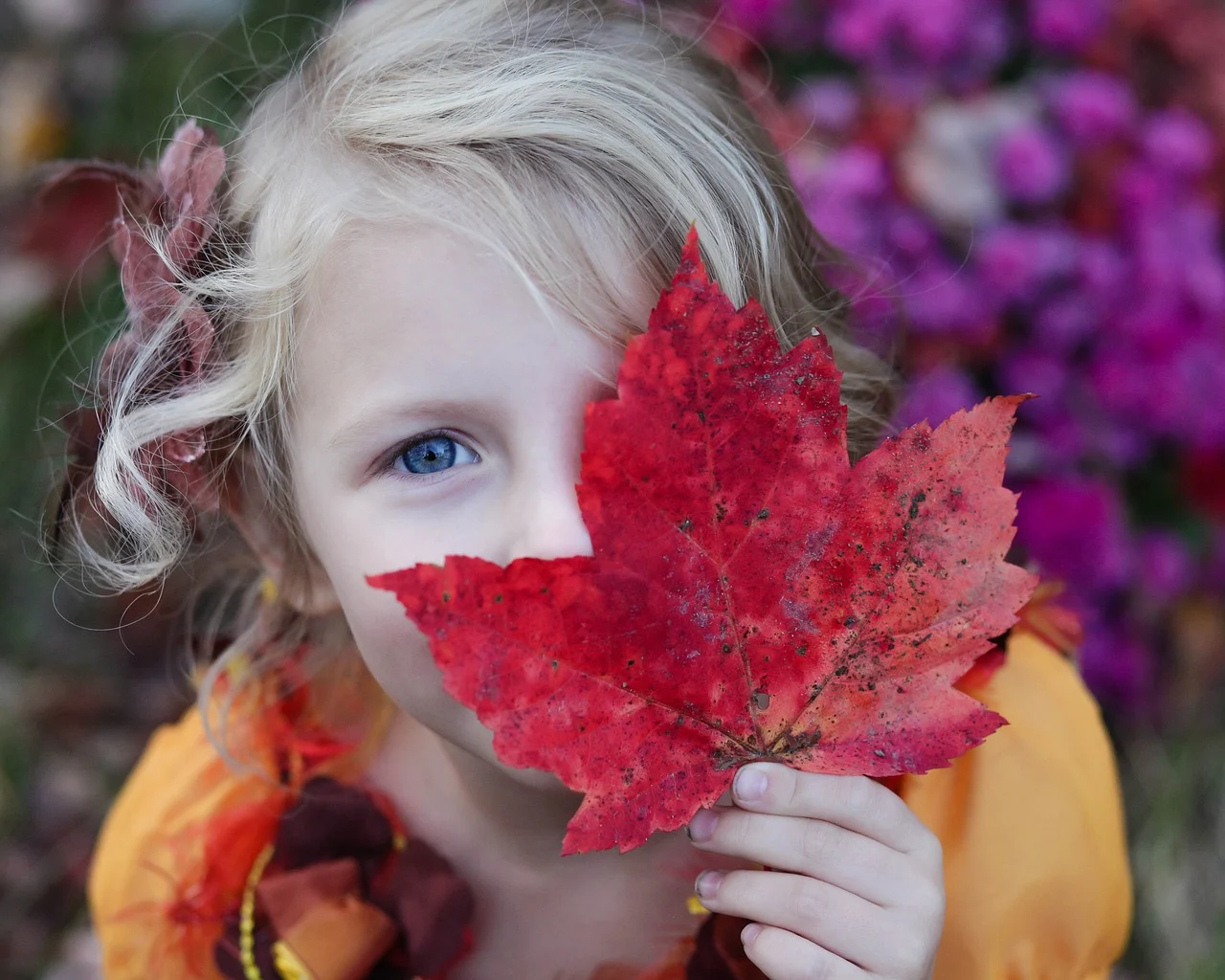 Quelles sont les plus belles activités à faire en famille ?
